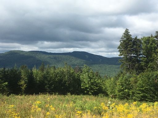 My. Sunapee from the top of Rollins.