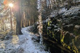 Balade dans la neigr