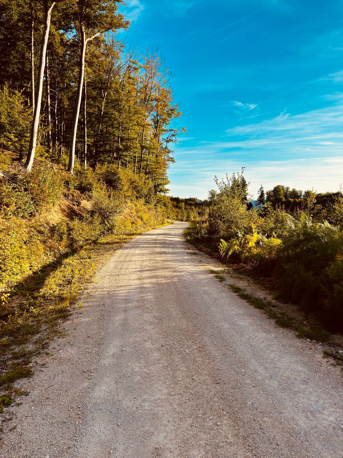 Ride Image 5