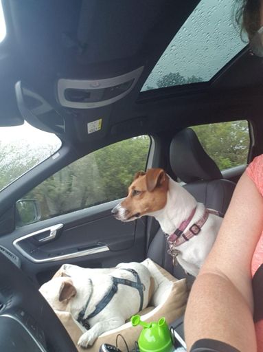 Amazing seconds for a rainy and windy ride.