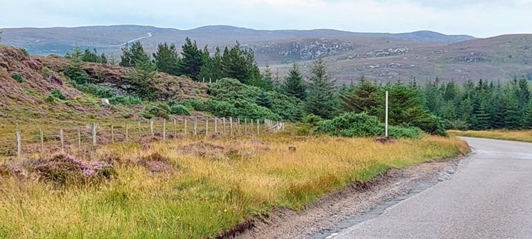 I think this was looking back to the road we'd come down.