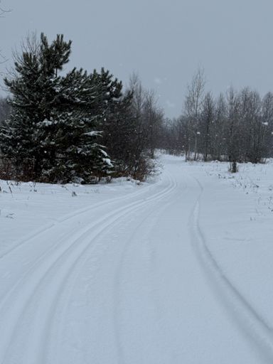 our newly groomed trails