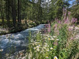 Lacs de la douche et d’arsine