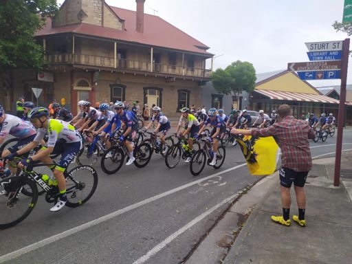 The lion of Angaston