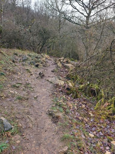 Chemin des Orchidées - Trail