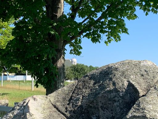 Tree, rock, silo