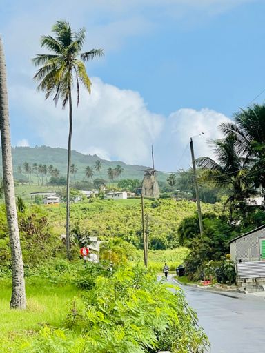 Morgan Lewis Windmill