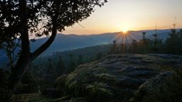 Sortie à vélo matinale