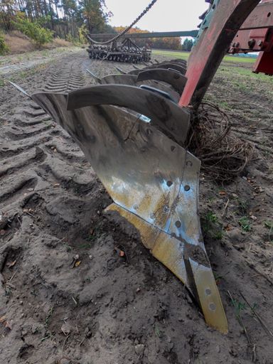 Damit könnte man sich am Sand rächen