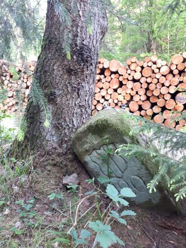 Anlehnungsbedürftig