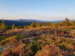Trotte entre Vexaincourt et les Hautes Loges