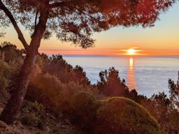 Plateau saint Michel