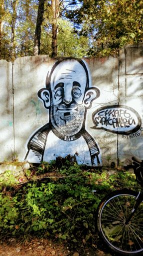 Граффити. Перелазили под забором, а там такая живопись