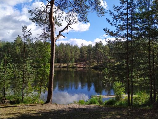 Опаринское. Озеро доступно для машин, поэтому по берегам довольно много мусора. Летом по выходным здесь была прорва людей, сейчас - никого. Красота!