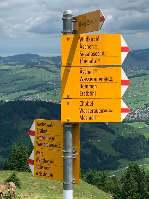 route-highlight