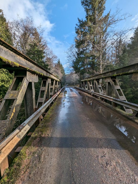 Lewis and Clark logging roads
