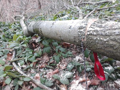 Stecken geblieben...