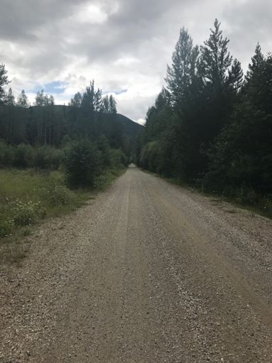 Easy grades (mostly), hard pack surface.