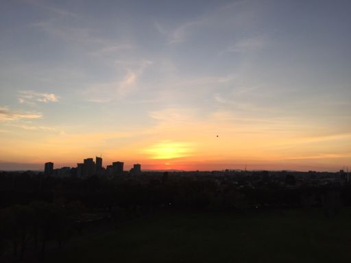 Classic Melbs autumn morn