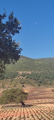 A Serra como destino...