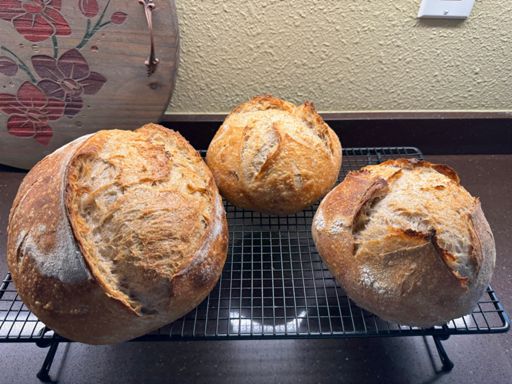 Do you even sourdough, bro?