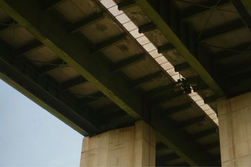 Is het thee of is het ander gebladerte?