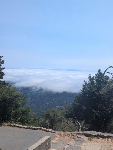 second time, fog is burning off a bit, was able to see Salesforce Tower this time, still no bridge