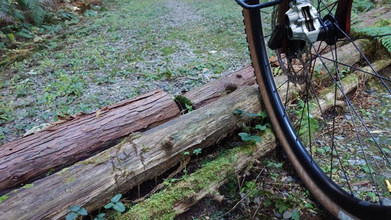 そうか～、こっちからだと難易度上がった丸太を乗り越えないといけないのか～　って、乗り越えられませんでした😅