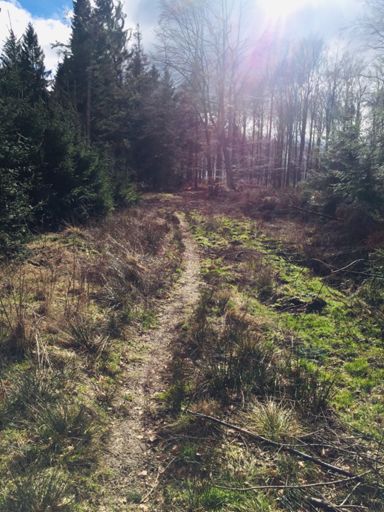 Sonne 🤩 zwar mega Wind aber immerhin