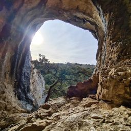 Le crane de Colombier