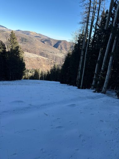 blank slate of powder snow on L'il Abner
