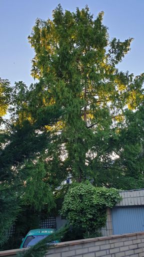 Frankfurt_ID22809_UM_Froschhäuser Str. 3