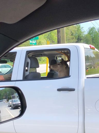 Not sleeping on the golf course worked wonders!