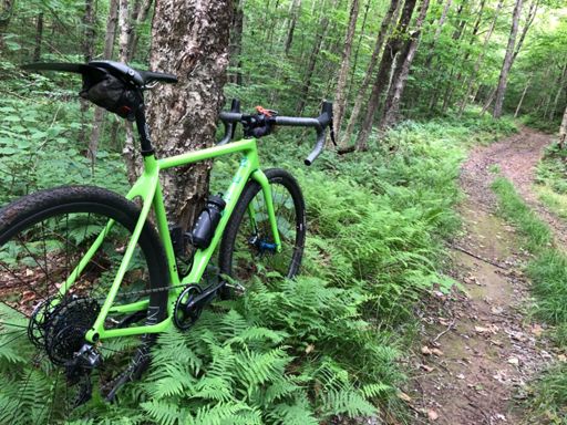 Thank you Bike Express for getting my bike dialed in!!