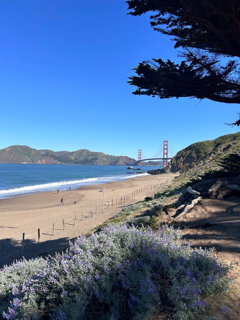 Butterlap (Presidio & Golden Gate Park) photo 26