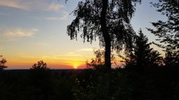 La saison des brimbelles commence ????