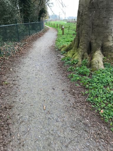 Somewhere out there featuring Rebel Ride Trail 2.0....