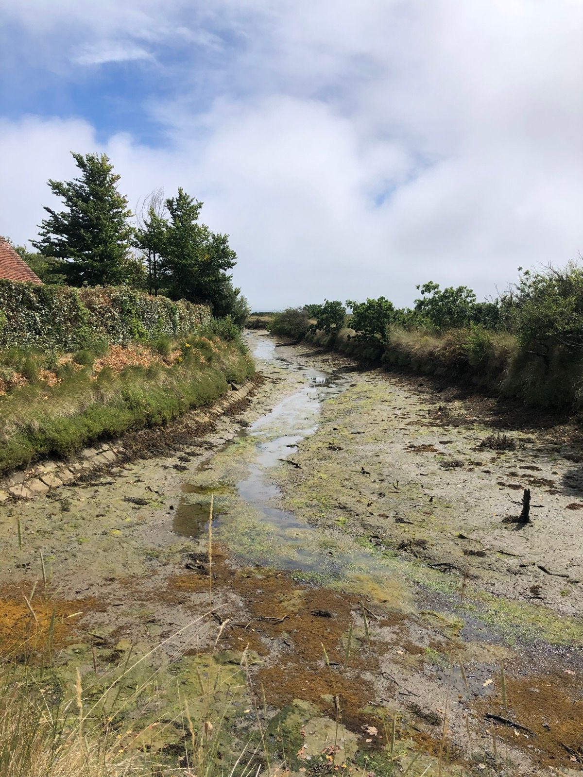 tidal creek at Keyhaven
