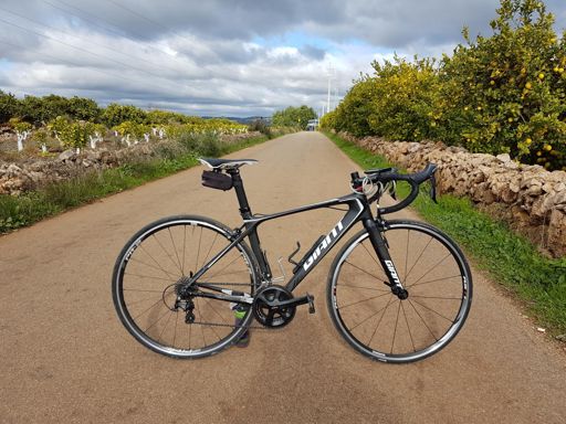 <---🍊🍊🍊, 🍋🍋🍋--->