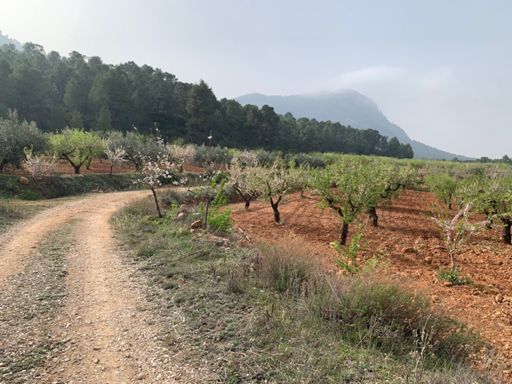 Límite S Espuña Norte por Pliego