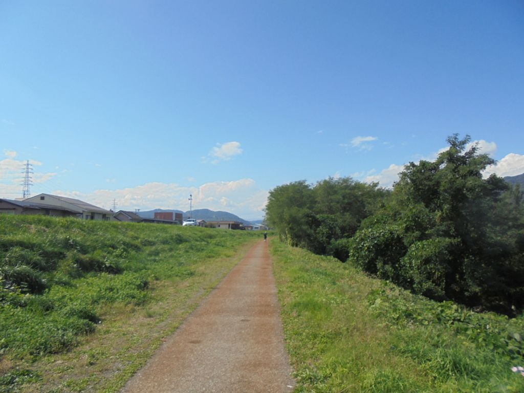 Relive ｲﾝﾀｰﾊﾞﾙ走 4本でﾊﾞﾃﾊﾞﾃ