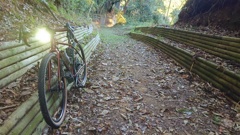 いつ通っても、ここの雰囲気好きだな～