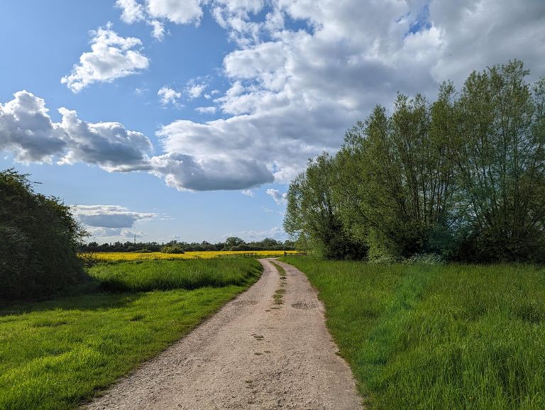 route-highlight