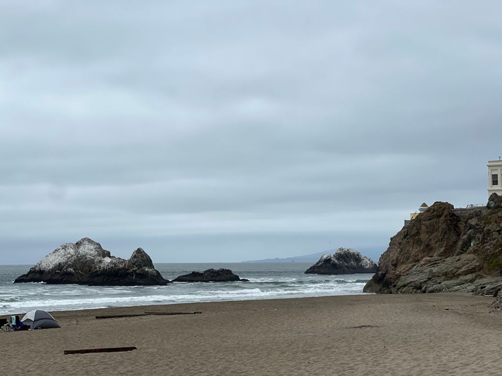 Butterlap (Presidio & Golden Gate Park)的照片 162