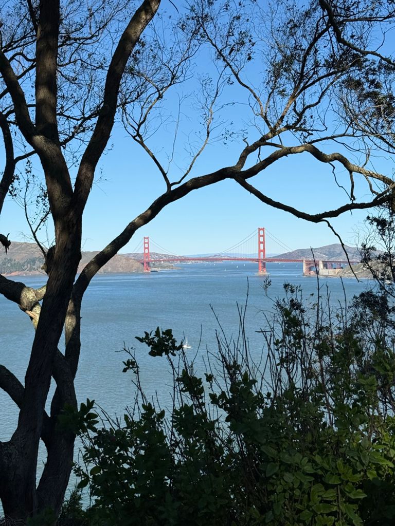 Butterlap (Presidio & Golden Gate Park)的照片 100