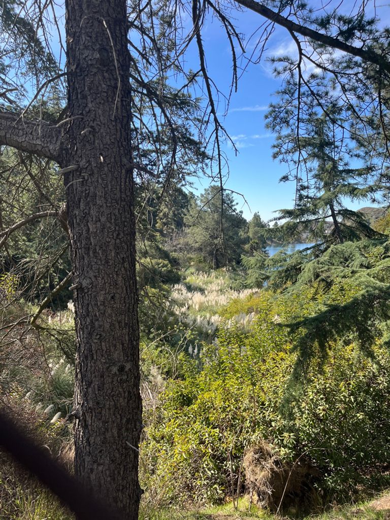 NBB run - Lake Hollywood photo 44