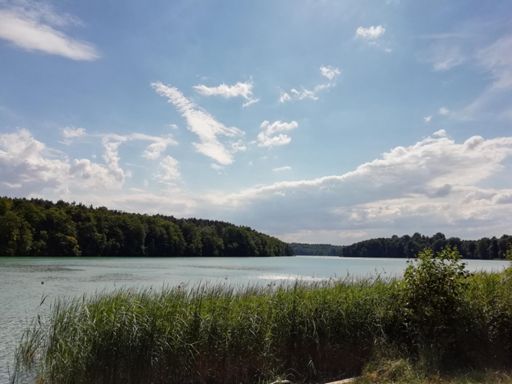Liepnitzsee