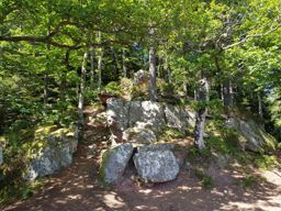 Trotte dans le Kemberg