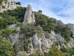 Le crane de Colombier