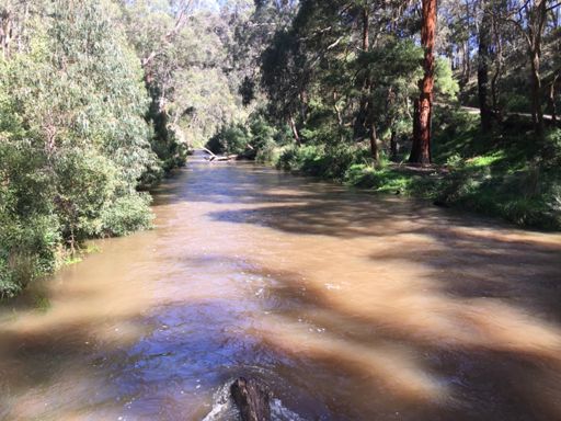 O’Brien’s Crossing